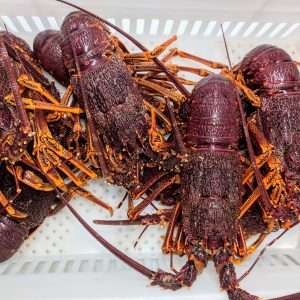 Crayfish Live - upto 1kg.