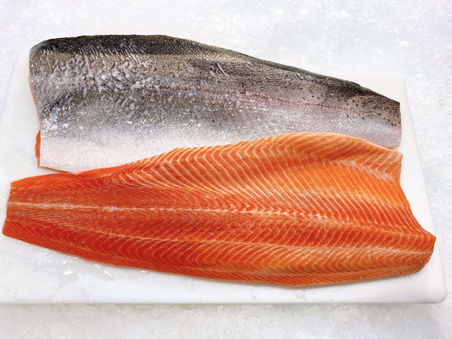 Ocean Trout Sides