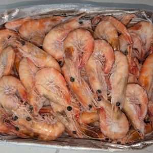 Prawns - Cooked Kings 5kg Box