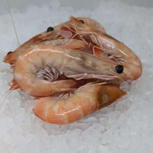 Prawns - Cooked Kings