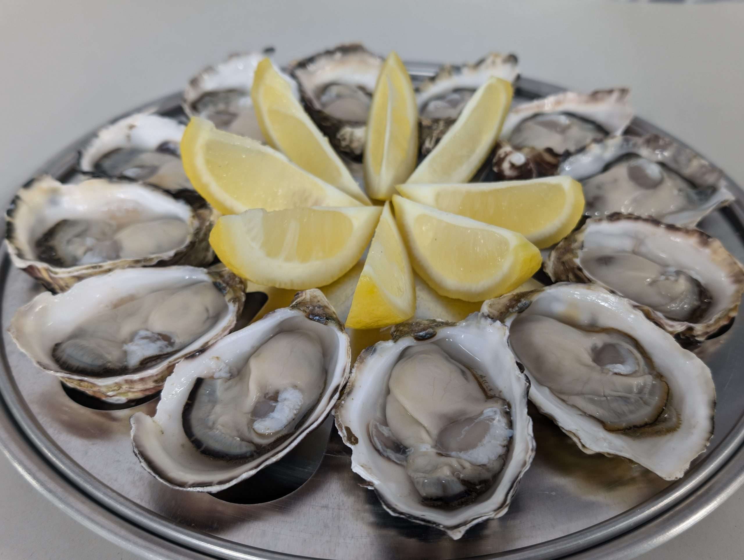 Oysters (Dozen)