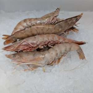 Raw Whole Prawns