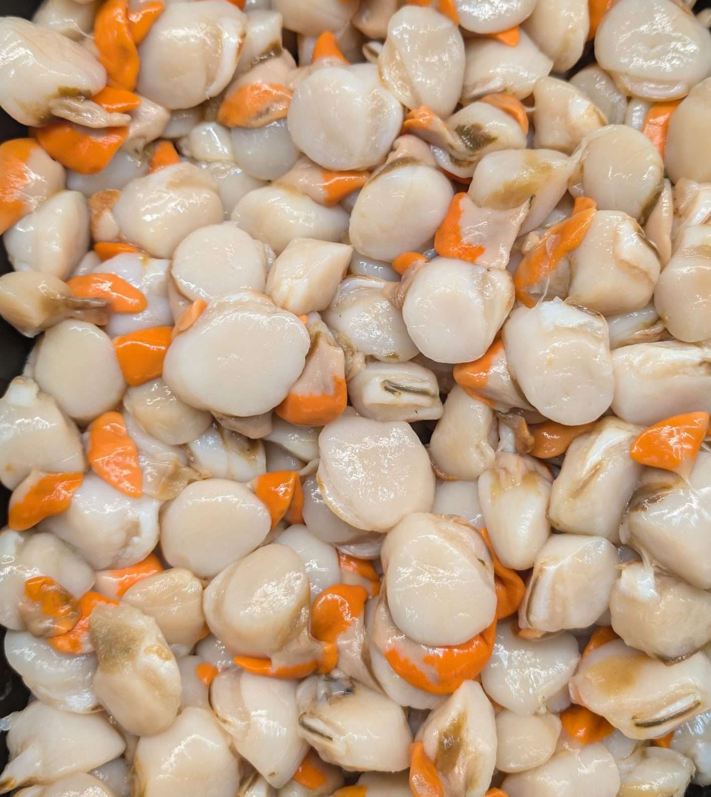 Scallops Bass Strait-Fresh Per kg