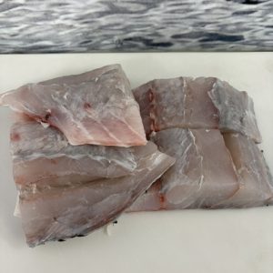 Barramundi