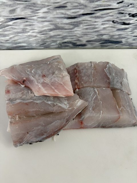 Barramundi